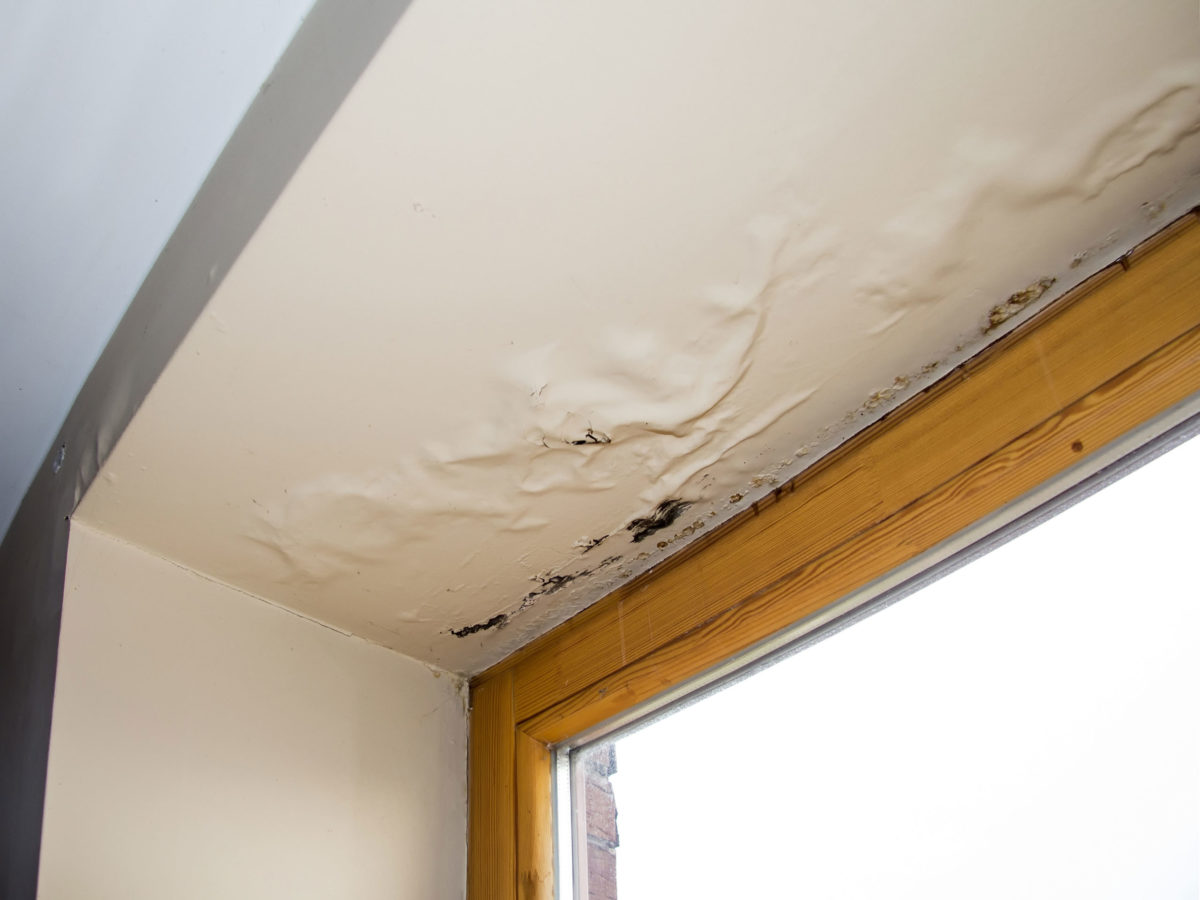 Humidity & Trapped-Moisture Roof Repair in Lubbock